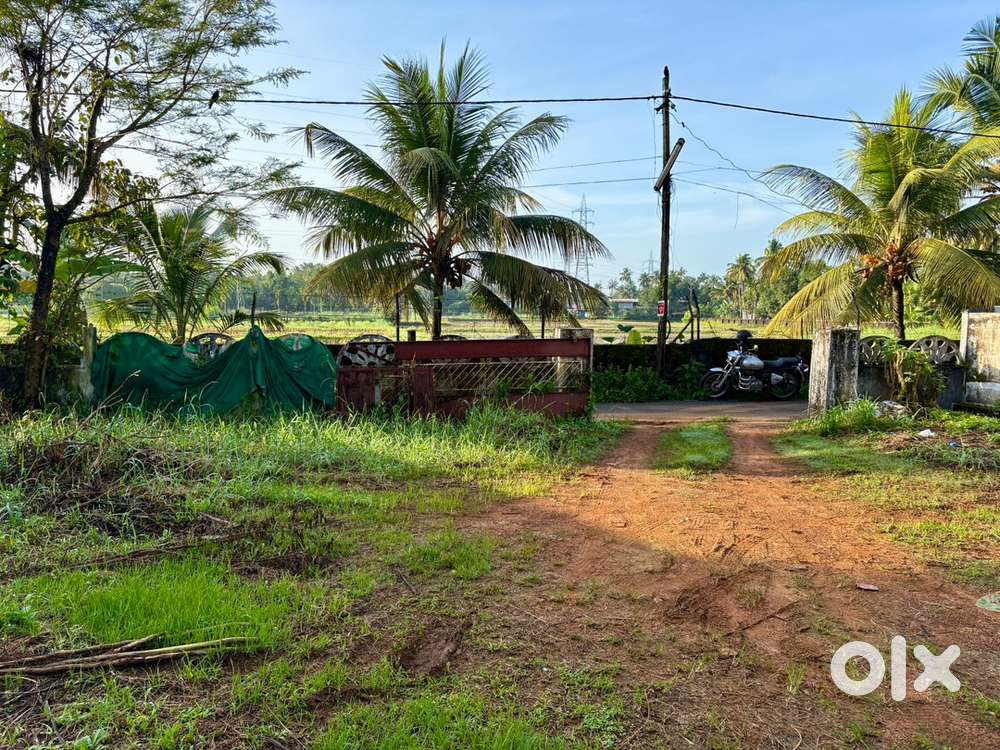 9 cents square plot land in Chalakudy