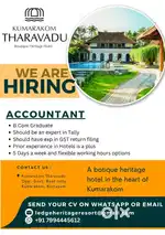 Accountant