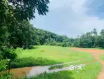 2 acre orginal land sale  6 mtr  raod frendge per cent 3.5