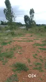 26 gunta Agricultural land for sale in village huchanapalya