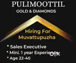 Pulimootil gold & Diamonds