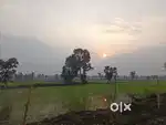 Plots for sale in Samoda near IIT Bhilai