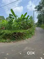 10 Cent Land in Maneed for sale