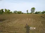 Agricultural Land for sale