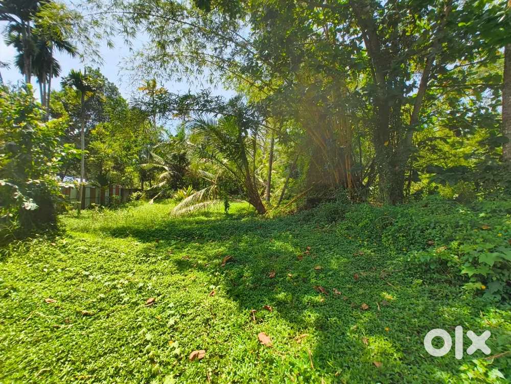 Paradise Land for Sale