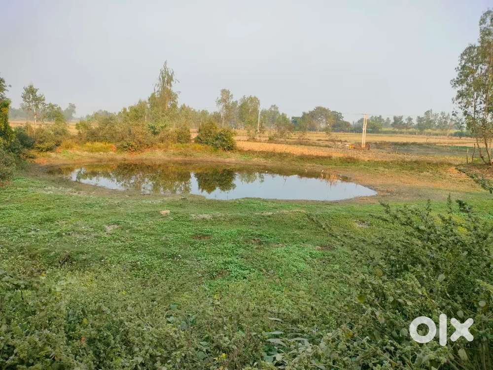 27000 square feet hai , 1 बीघा से कुछ कम है।