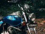 BAJAJ AVENGER CRUISE 220