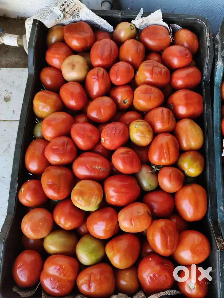 VEGETABLES CUTTING AND PACKAGING