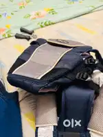 Best brand chicco kids belt for parents