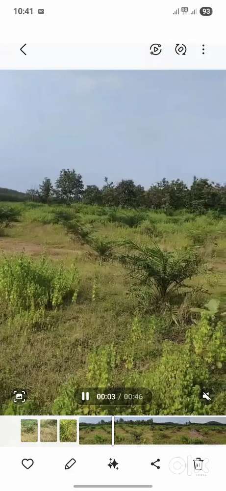 10 acres palm oil farm for sale near Korutla