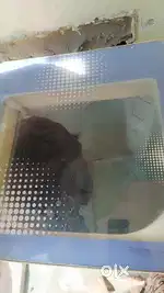 Hello guys