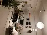 Comfy couch
