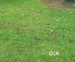 Square plot, plane