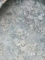 Small freez refrigerator compressor is not working