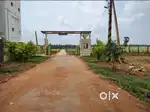 Only 13999/- per Sq Yard in KAUDA layout in Prime Area, Peddapuram