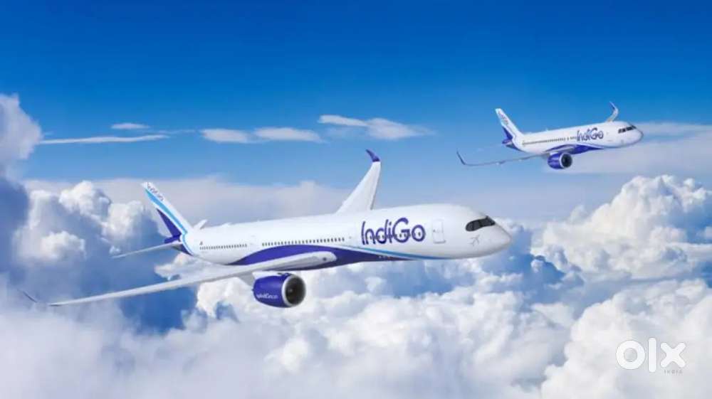 Jobs in Indigo Airlines vacancy available for Male, Female candidates