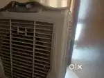 Surya cooler