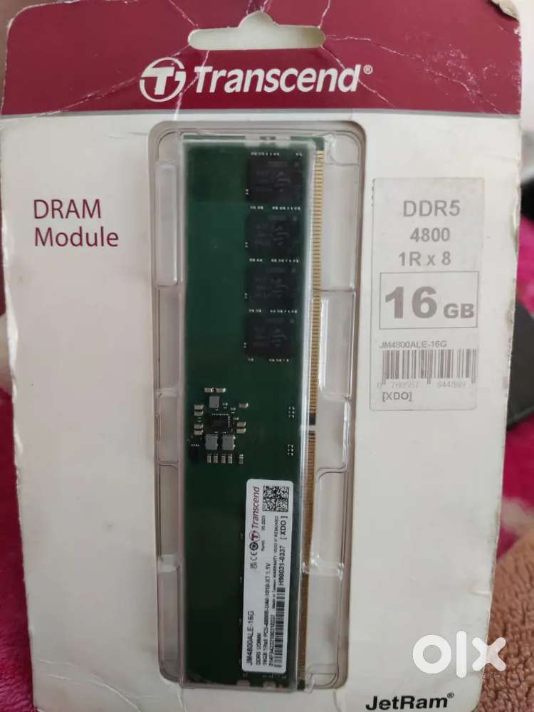 RAM- Transcend ddr5 4800 16gb