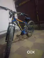 Frog cycle with dual disc brakes , without gear