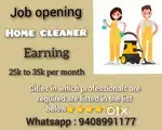 Need some professional cleaner