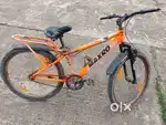 Gang bicycle