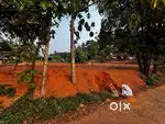 21 cents of prime land located just a short distance from Ulikkal town