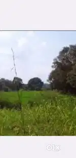 2 acre Agricultural land for sale in Hebbal near kuduge Kushalanagar