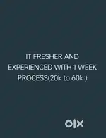 IT SOFTWARE FRESHER(Guarantee)