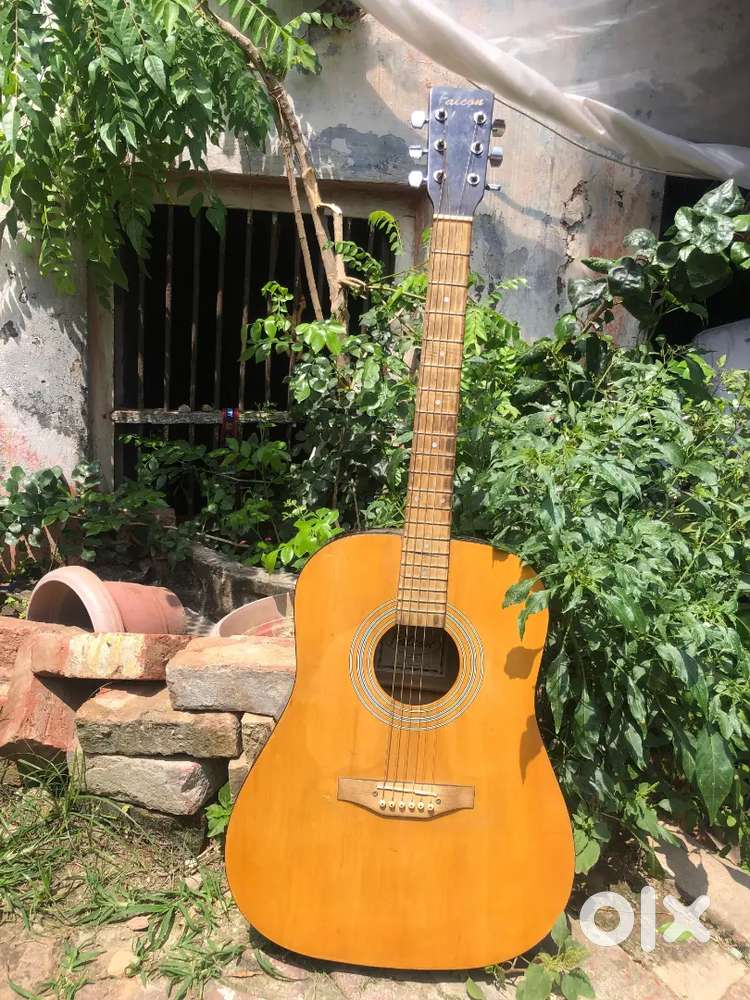 Jumbo Guitar