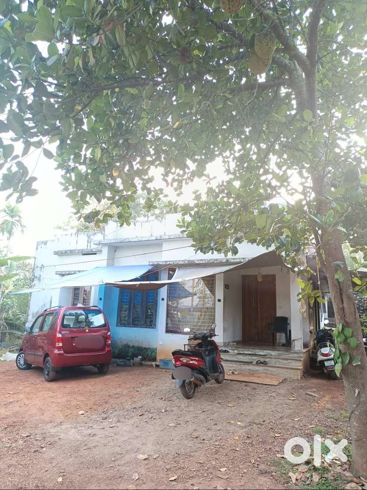 2bhk,attached bath,open kitchen,living,dining,8.30cent plot