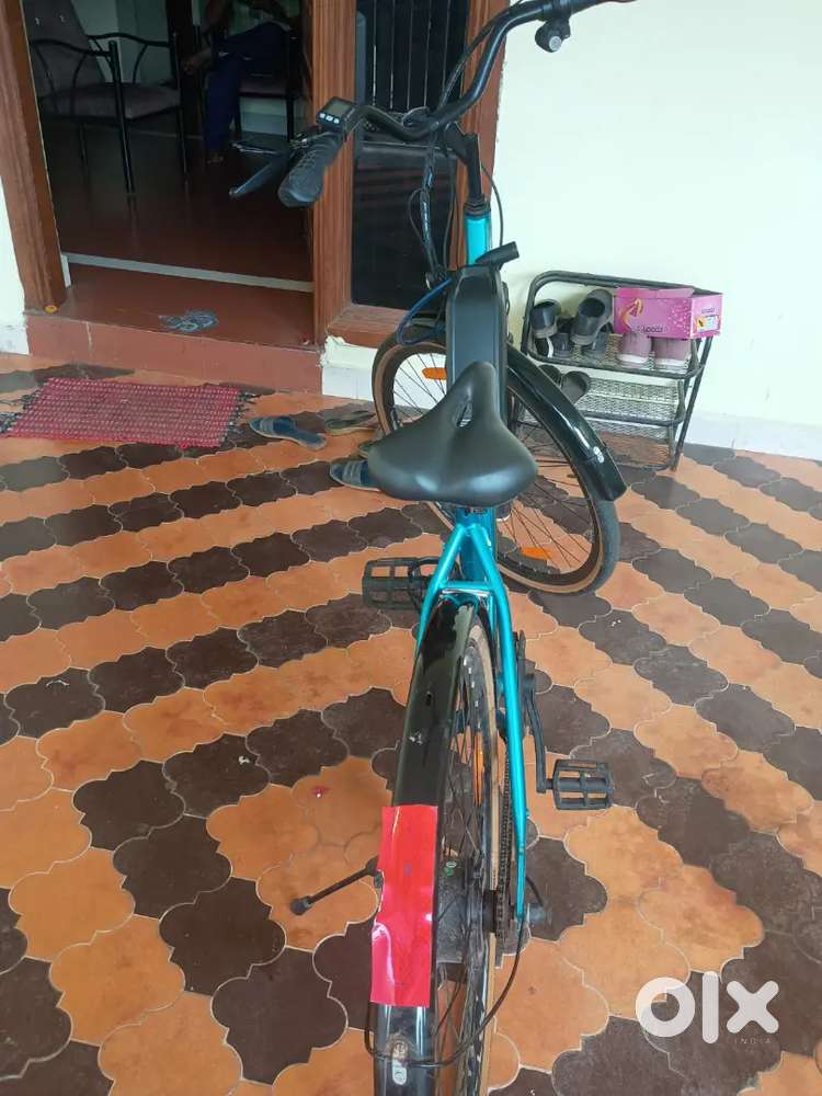 EV ladies bicycle