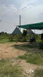 Mahadev Tea point opp marutinanadan hotel Near baba ramdev Madhav