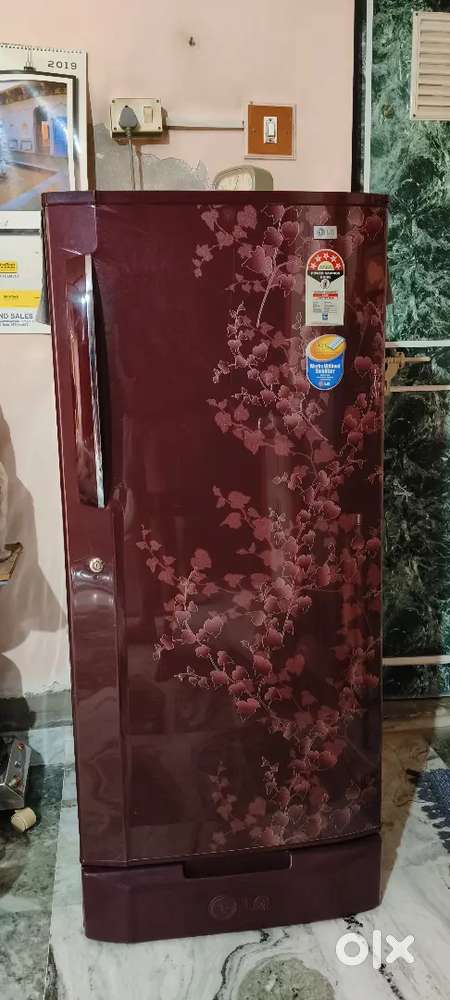 LG 200 Liter Direct Cool Refrigerator (5 Star)