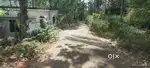 Moozhikal near poloor temple 11 cent plot for sale 3.60 lakh per cent