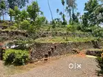 Land for Sale in Muthalakodam, Thodupuzha (50 cent)