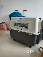 IATA APPROVED DOG CRATE FOR SALE