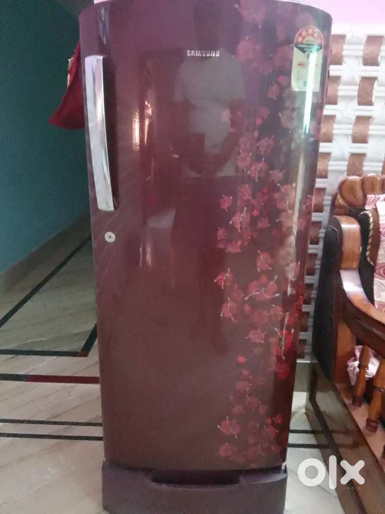 Brand-Samsung Freeze