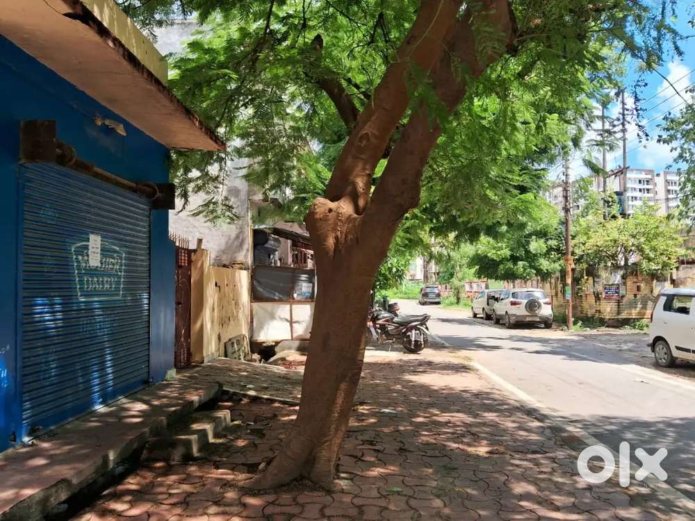 Cafeteria, Bakery, parlour, Dairy sweets shop or office setup, clinic