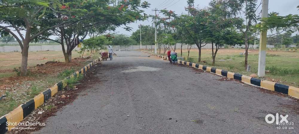 HMDA LIMITS Plots Near Amangal @ Mega Offer 1999