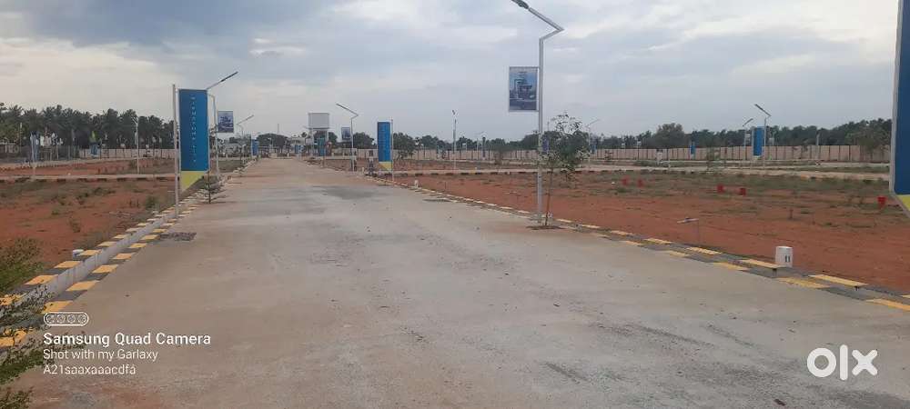 Good investment Dtcp approved plot for sale nr PSNA engineer college