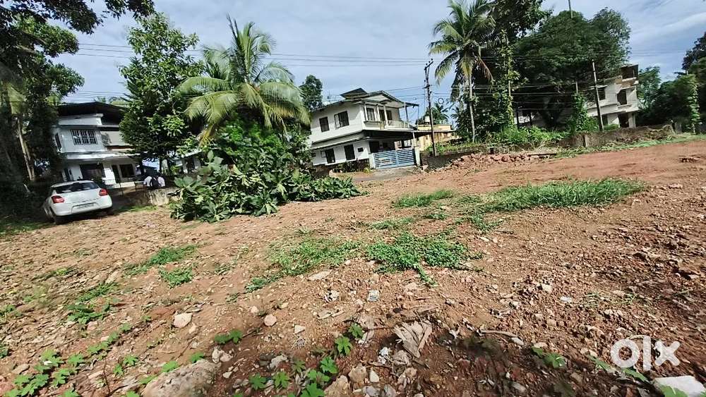 PLOT FOR SALE IN VALIYANNUR.