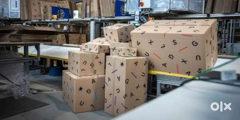 वेयरहाउस पैकिंग पैकिंग स्कैनिंग के लिए डायरेक्ट भर्ती 
Booy & girl