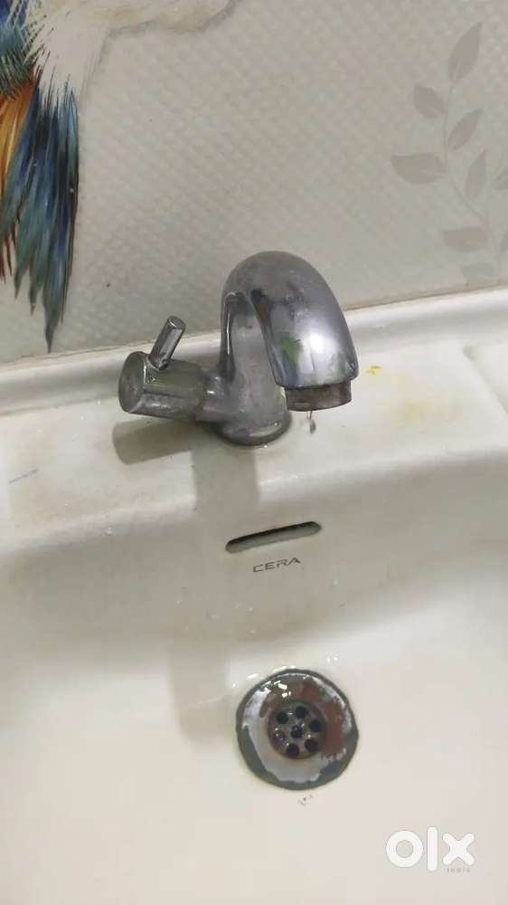 Bipul expart plumber survice