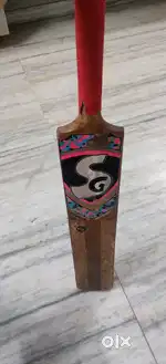 SG CRICKET BAT