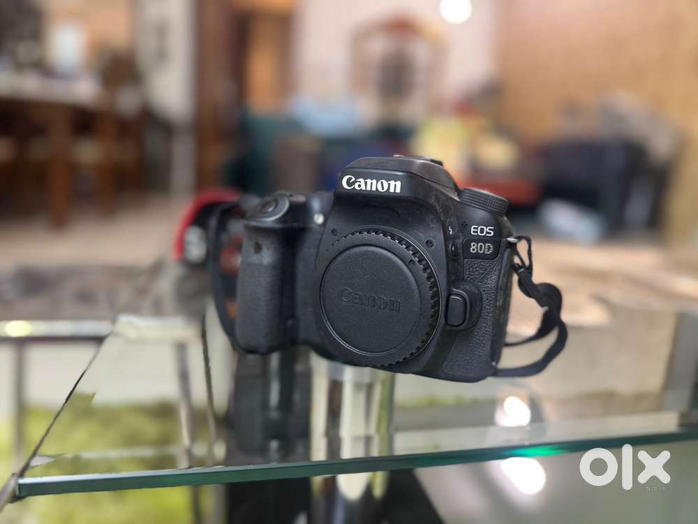 Canon EOS 80D  50mm prime lens & 18-135mm lens