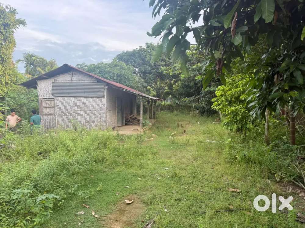 Residential land for sale old showuba