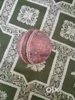 Cricket beneficial appliances