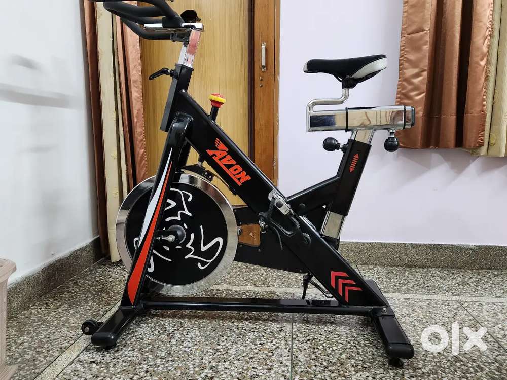 Avon Gym Exercise Cycle – Spin Bike, Excellent Condition (Jammu)