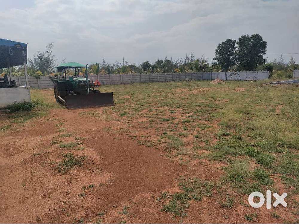 Urjent sale 121 sq yards near Chinthapalli (Devarakonda route))