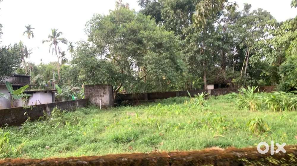 For Sale – Residential Plot